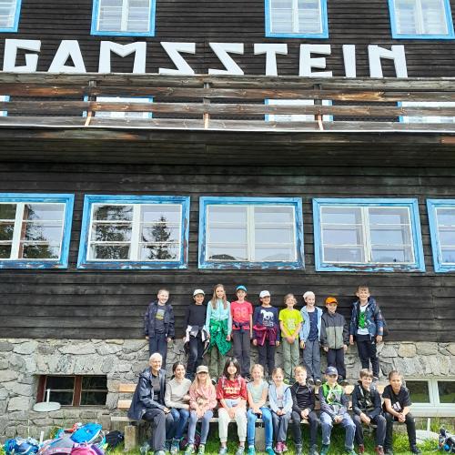Gamsstein