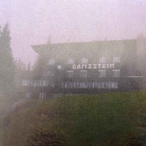 Gamsstein