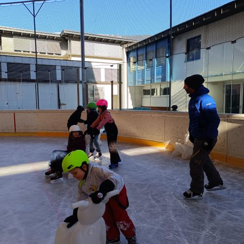 on ice 