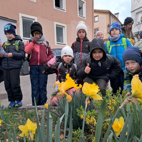 Frühblüher