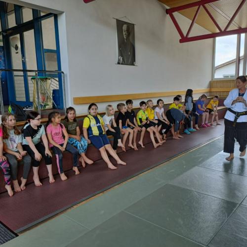 Judo 2c