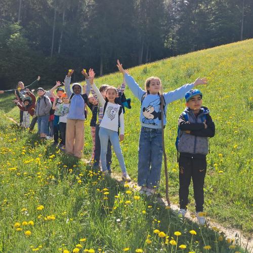 Salzteig