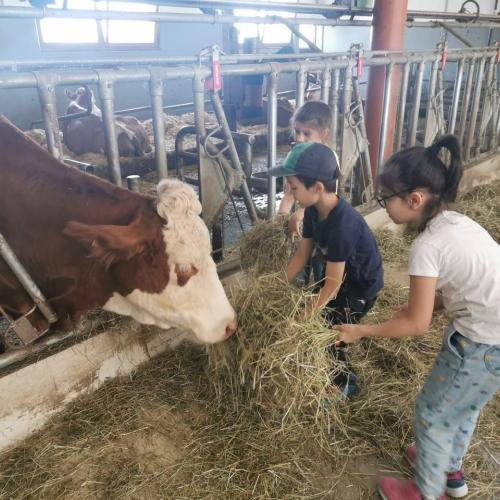 Besuch am Bauernhof