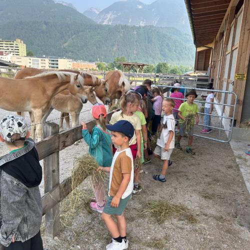 Besuch am Bauernhof
