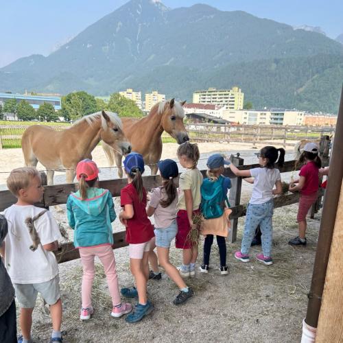 Besuch am Bauernhof