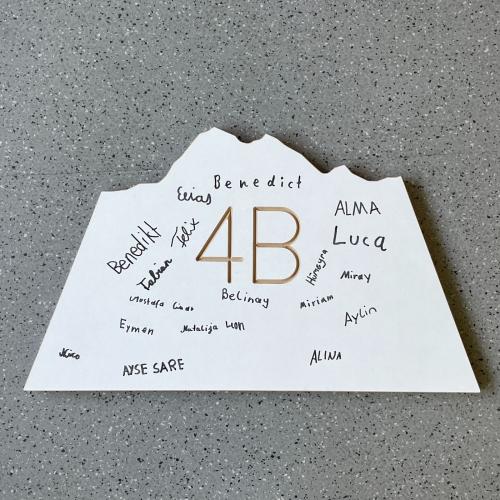 4b