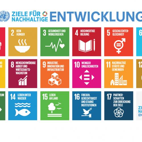 © Sustainable Development Goals (SDGs)