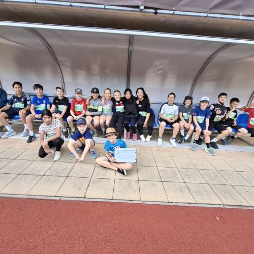 Leichtathletik Grand Prix