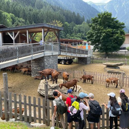 zillertal