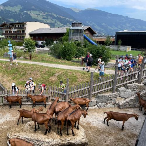 zillertal