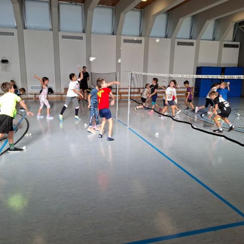 Badminton