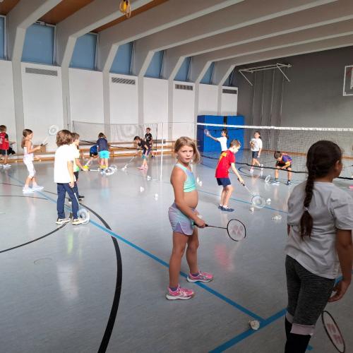 Badminton