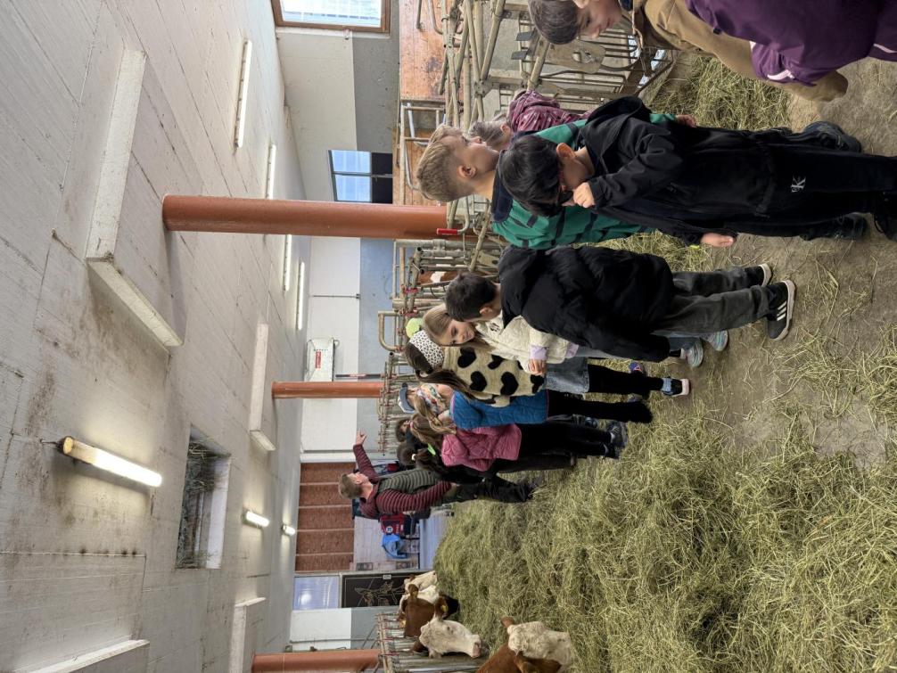 Pirchnerhof - Tagesausflug 1c