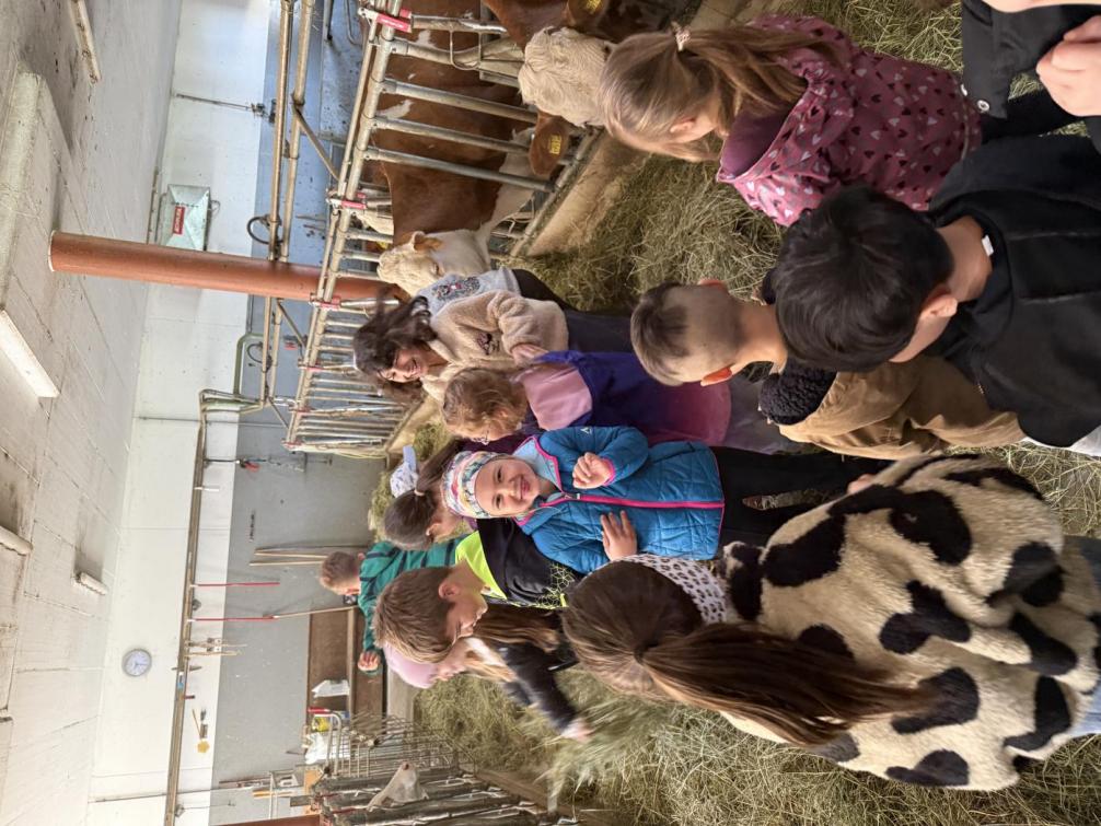 Pirchnerhof - Tagesausflug 1c