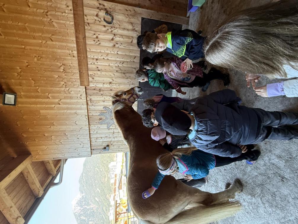 Pirchnerhof - Tagesausflug 1c