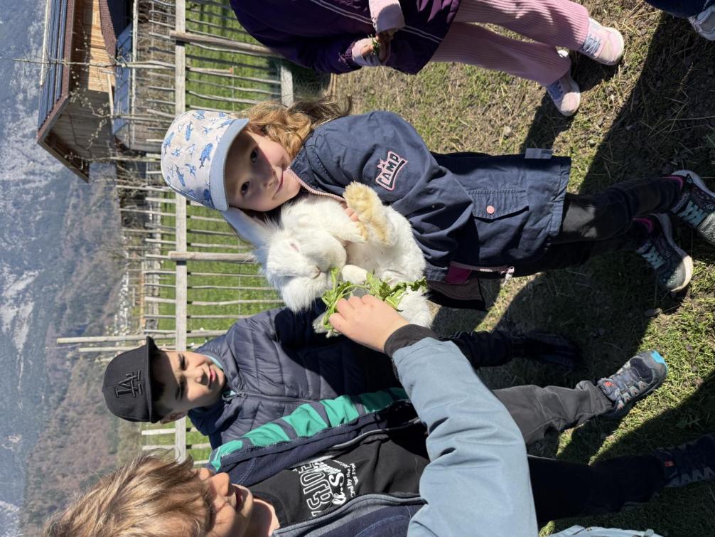 Pirchnerhof - Tagesausflug 1c