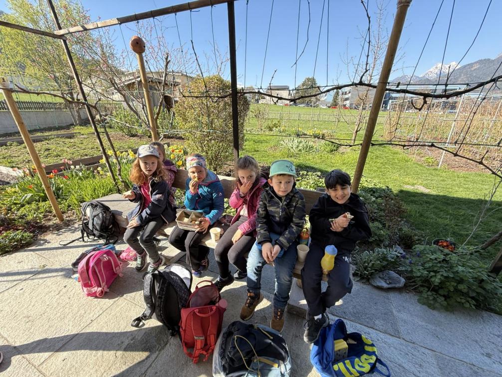 Pirchnerhof - Tagesausflug 1c