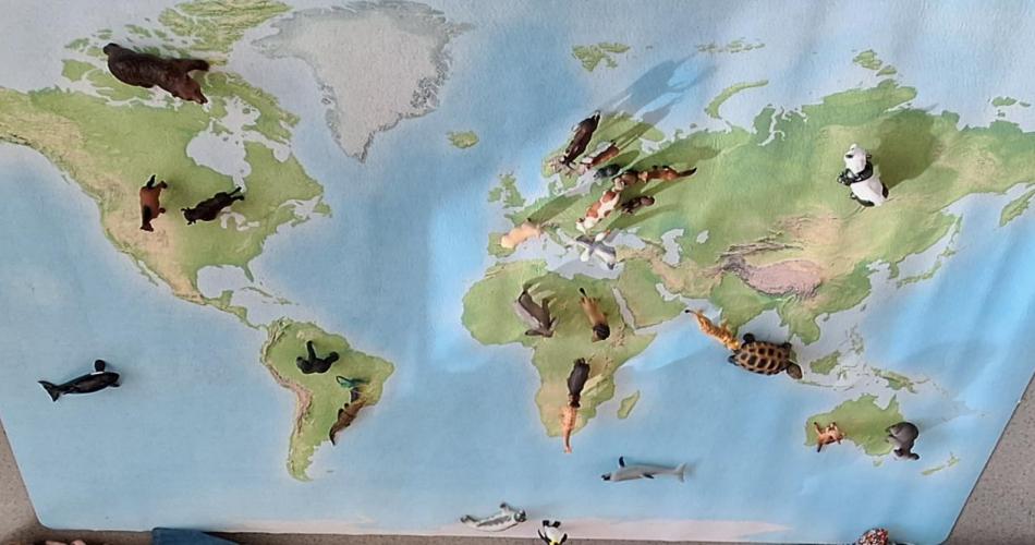 🌍